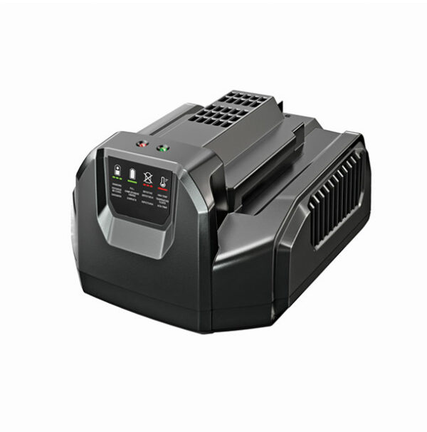 CH2100E Chargeur a batterie standard EGO